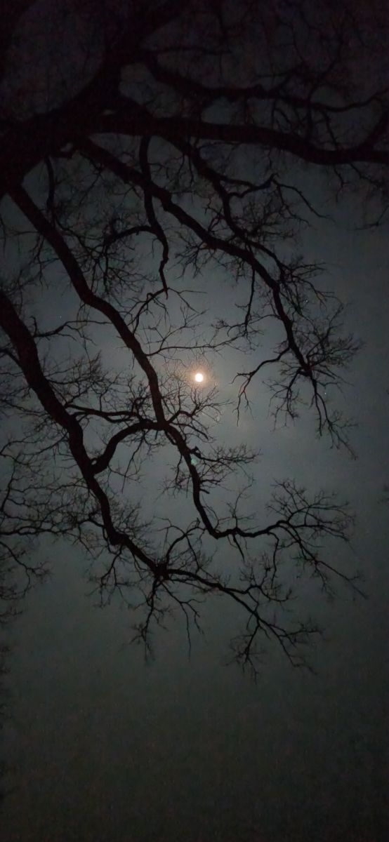 Фотографии Погоды в Орнета. Прогнозы погоды с чудесными фотографиями, сделанными Damian Parszuto