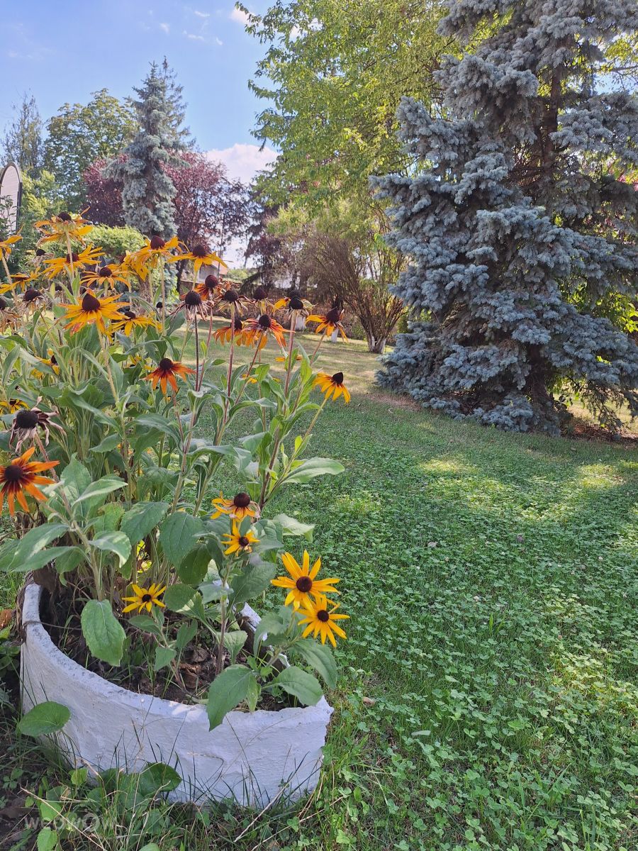 Weather Photos in Bucharest. Weather forecasts with beautiful photos by Iwonne