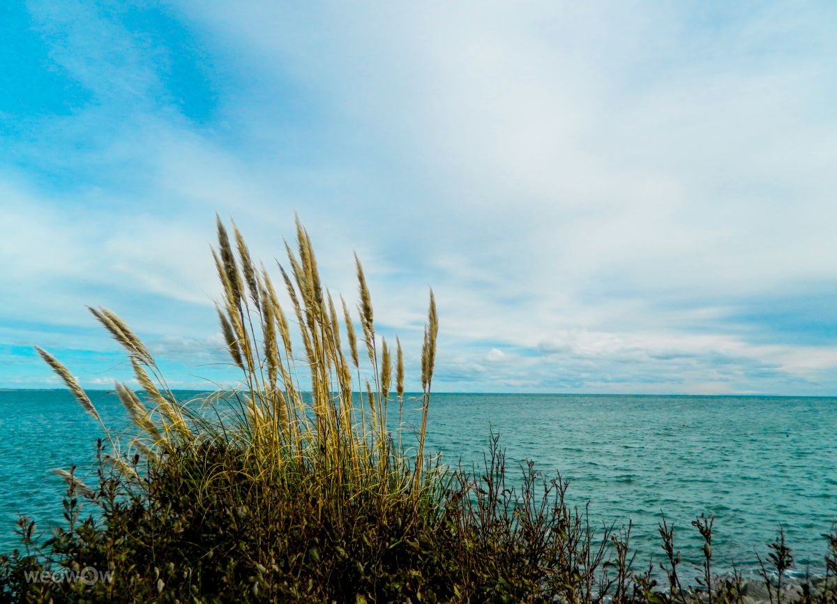 Nhiếp ảnh gia DarekCho, Hình ảnh Thời tiết ở Kilmore - Weawow