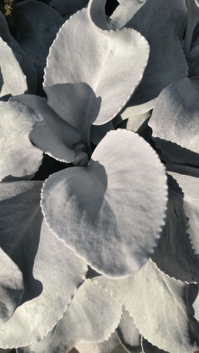 Weather Photos in Arges. Weather forecasts with beautiful photos by YanBog