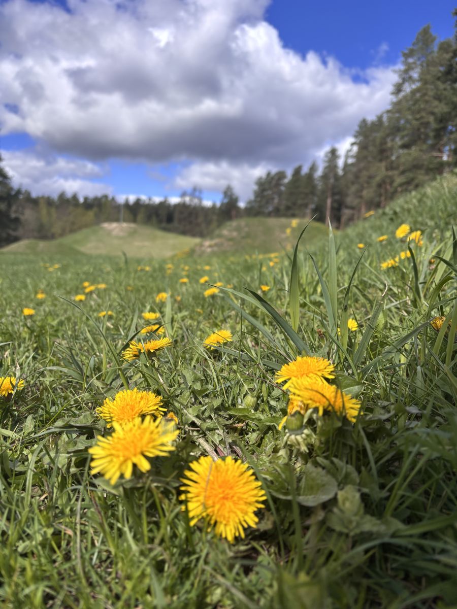 Photos météo à Ozolnieki. Prévisions météo avec de superbes photos de Ewwa393