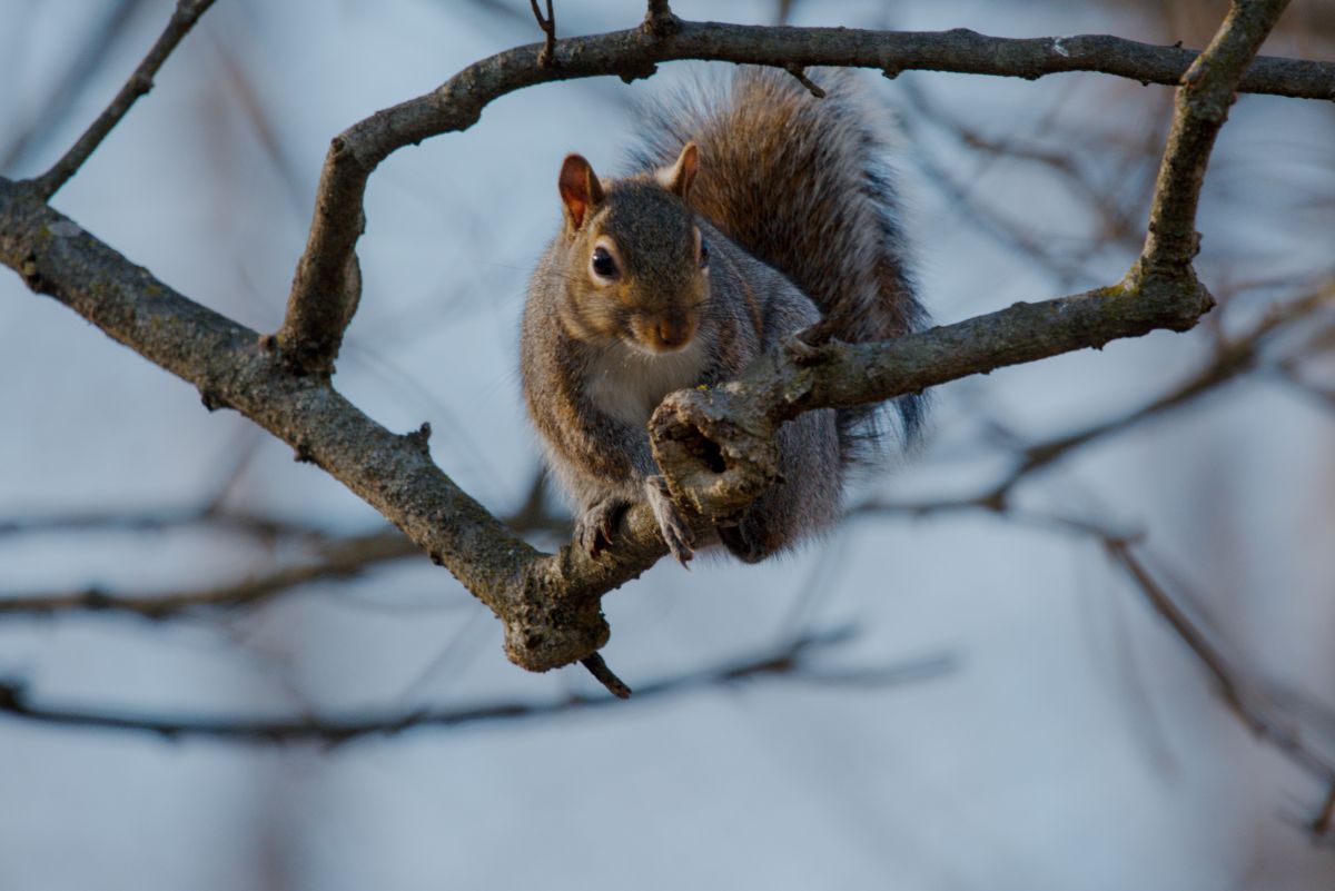 Фотографии Погоды в Hanover. Прогнозы погоды с чудесными фотографиями, сделанными krantzjh
