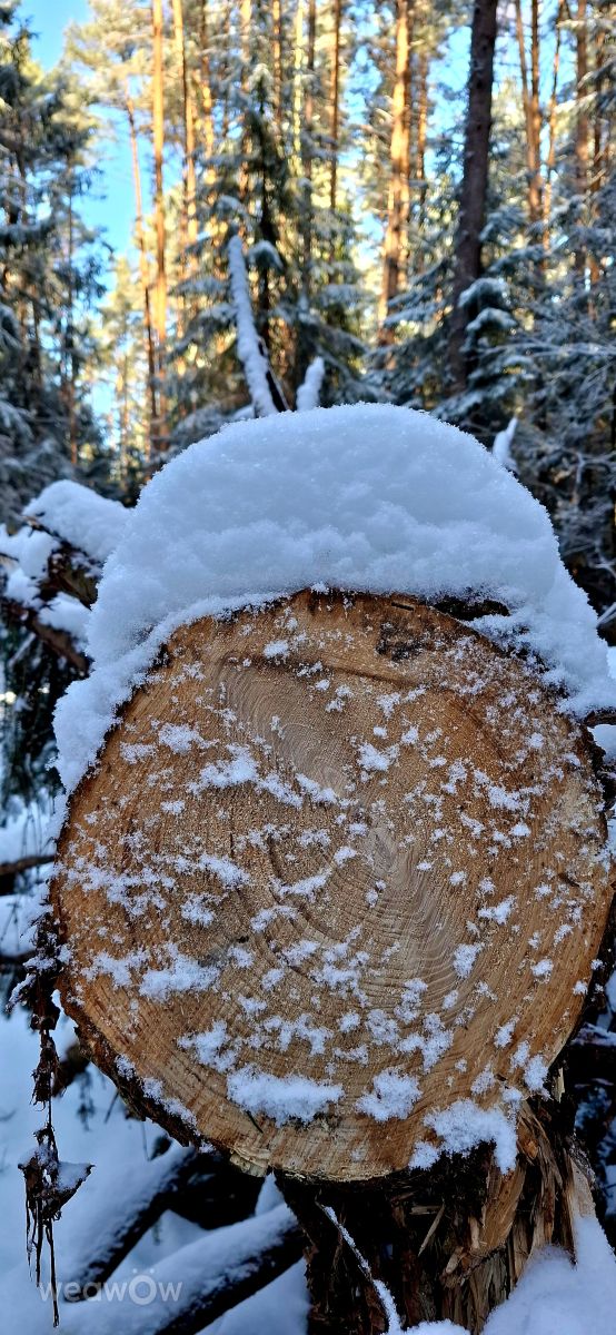 德国的天气照片. 天气预报，带Steffi316精美的照片