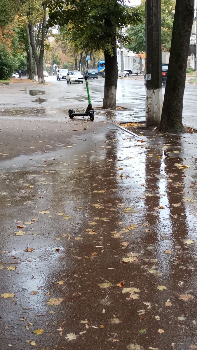 Photos météo à Oblast de Soumy. Prévisions météo avec de superbes photos de ЮРИЙ ВОРЧУН