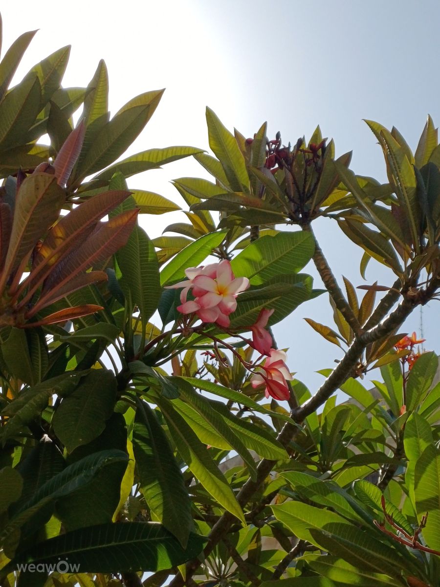 Photos météo à Holon. Prévisions météo avec de superbes photos de Zaza