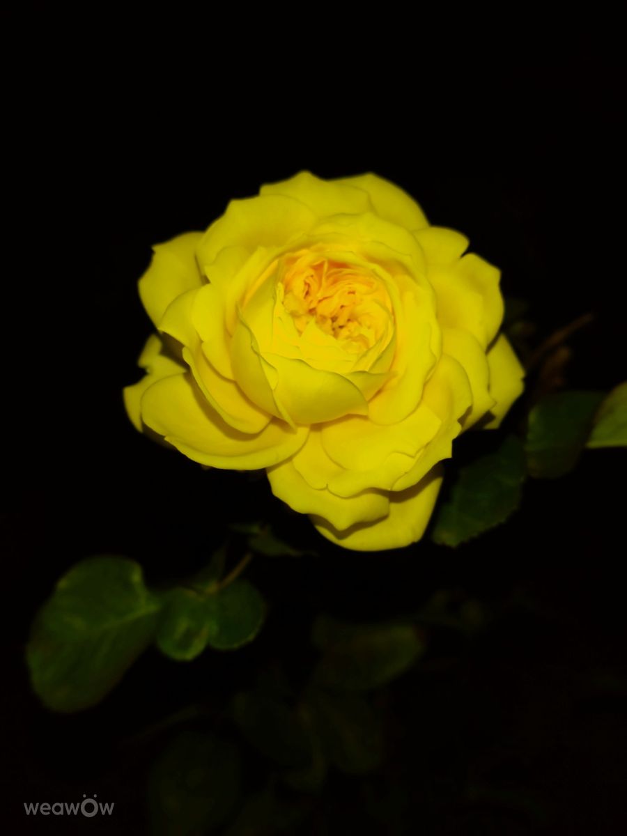 Photographe Wen-ya Huang, Photos météo à Kaohsiung - Weawow