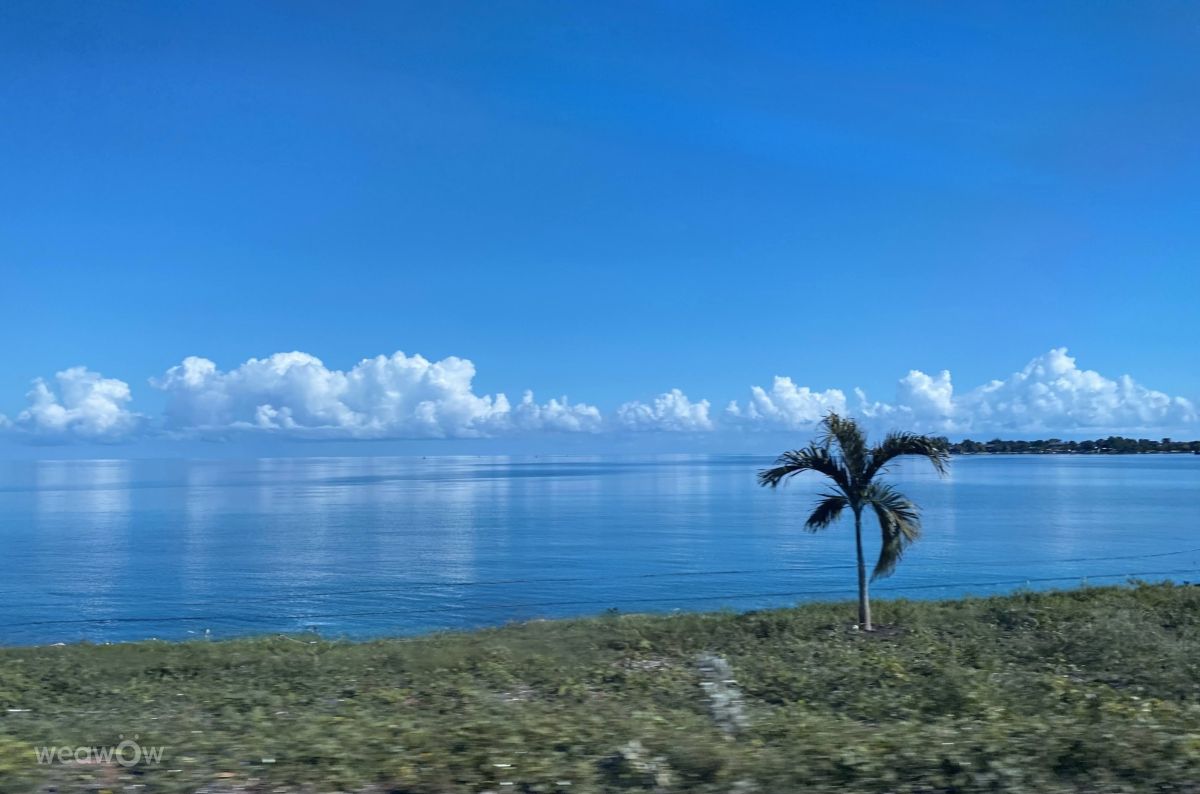 Weather forecasts with beautiful photos by LadyLesa