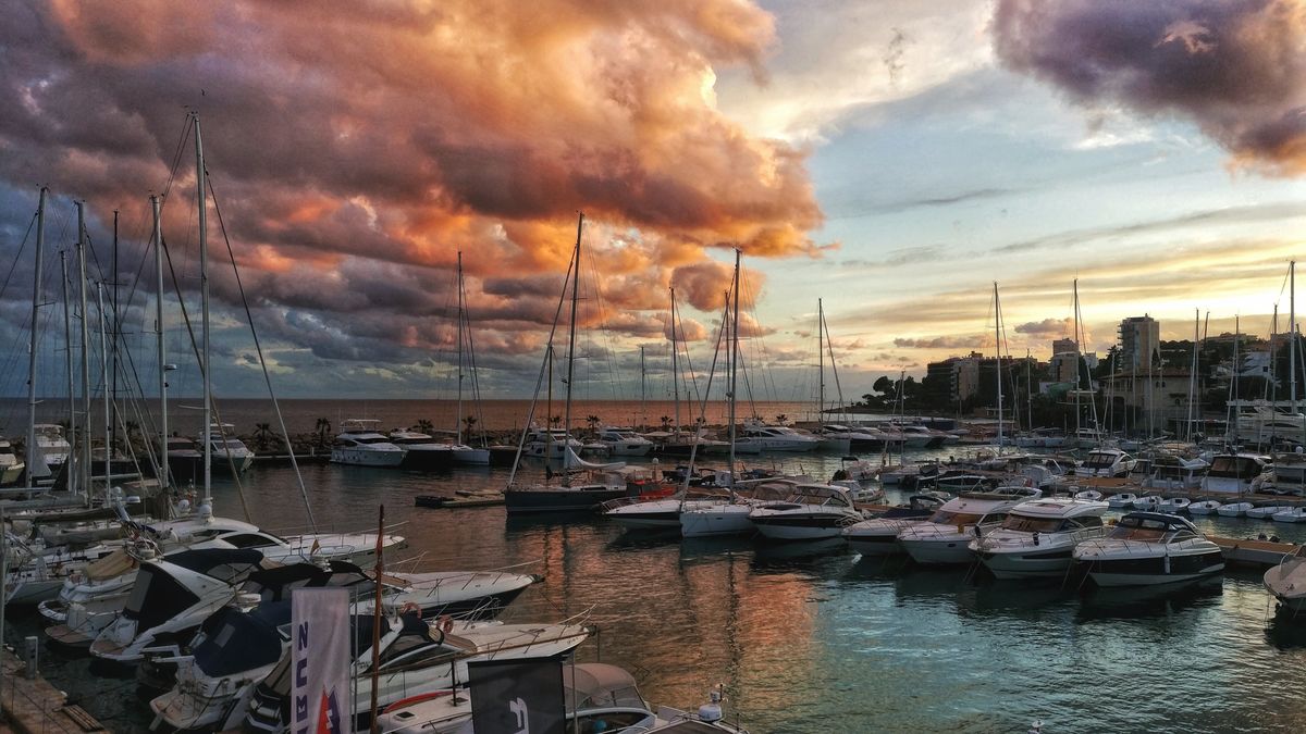 Photographer craigchek, Weather Photos in Port Calanova - Weawow