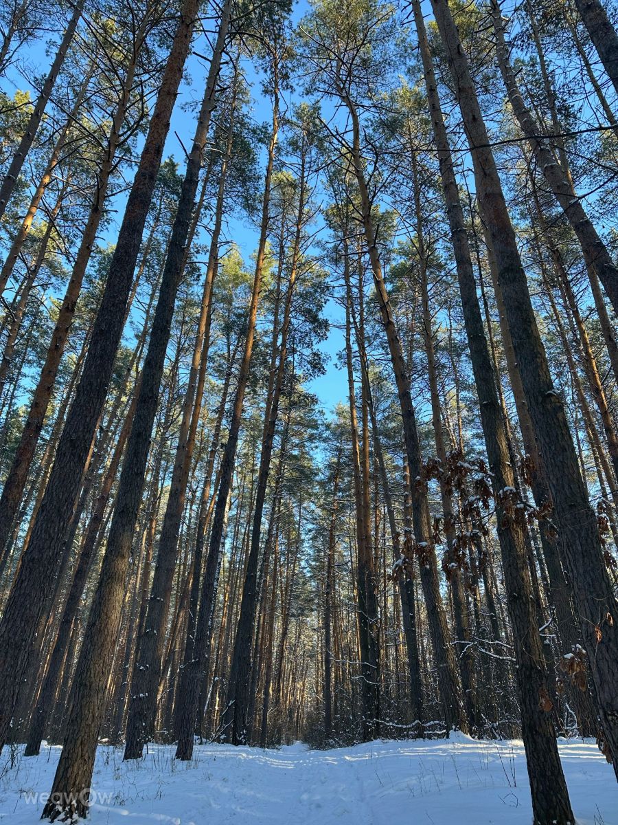 Fotos do tempo em Irpin. Previsões do tempo com lindas fotos de Інна