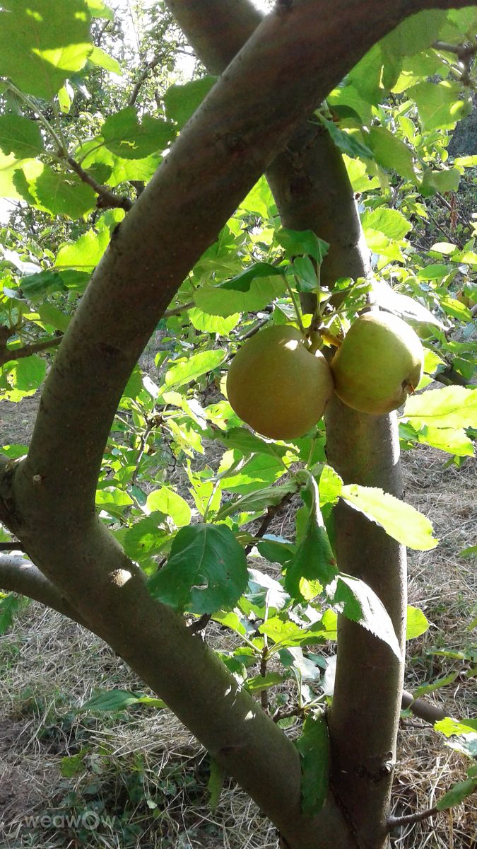 Photographer urashm, Weather Photos in Khmelnytskyi - Weawow