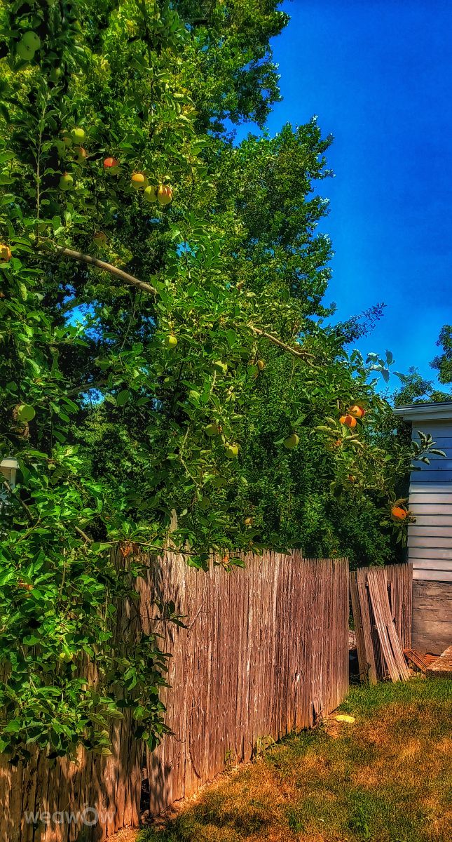 Photos météo à Hannibal. Prévisions météo avec de superbes photos de noeldamon9