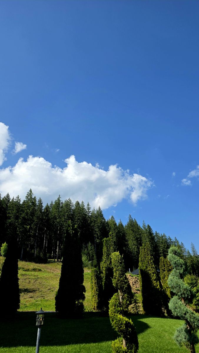 Weather Photos in Oraş Broşteni. Weather forecasts with beautiful photos by Camelyon