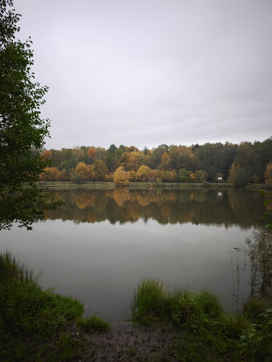 Photographer Amanda_and_Valdemar_Che, Weather Photos in Izmaylovo District - Weawow