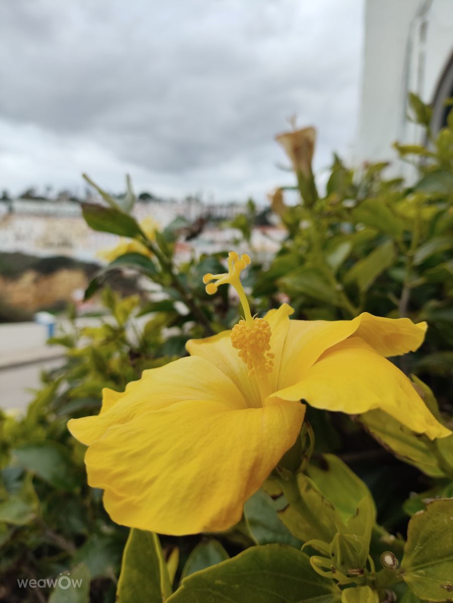 Фотографии Погоды в Praia do Carvoeiro. Прогнозы погоды с чудесными фотографиями, сделанными Brtd
