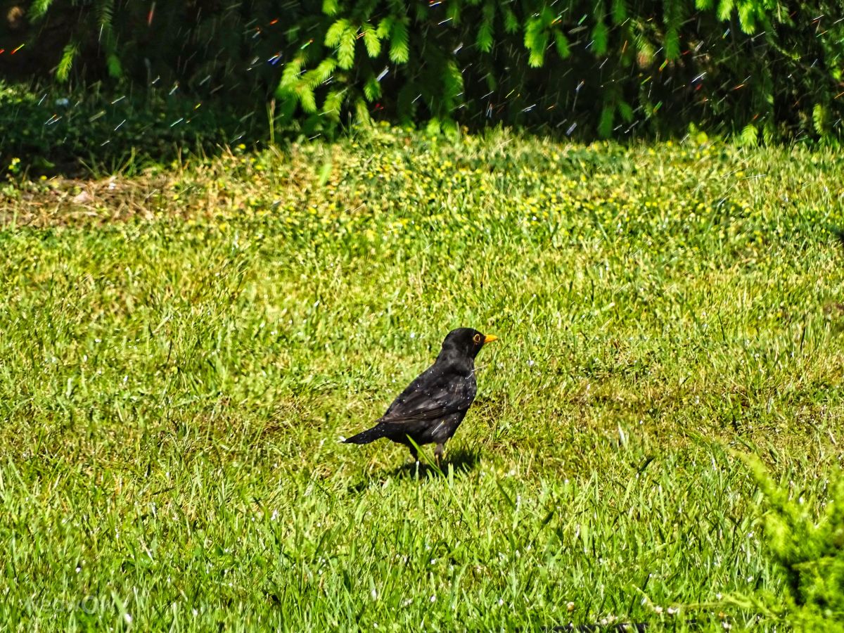 Фотографии Погоды в Зелёнка. Прогнозы погоды с чудесными фотографиями, сделанными VersusPoint
