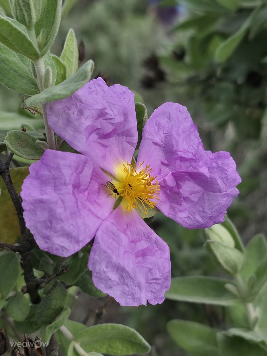 Weather Photos in Portugal. Weather forecasts with beautiful photos by Brtd