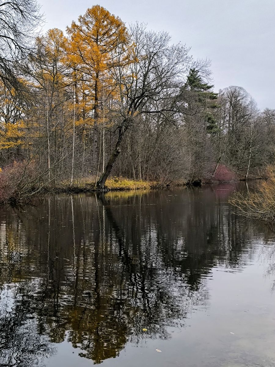 Photographer Jea, Weather Photos in Ostrov Yelagin - Weawow