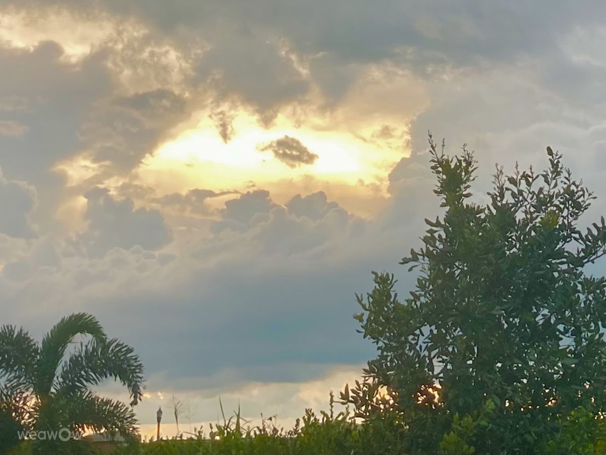 Photographe FaeryInFlorida, Photos météo à Port Saint Lucie - Weawow