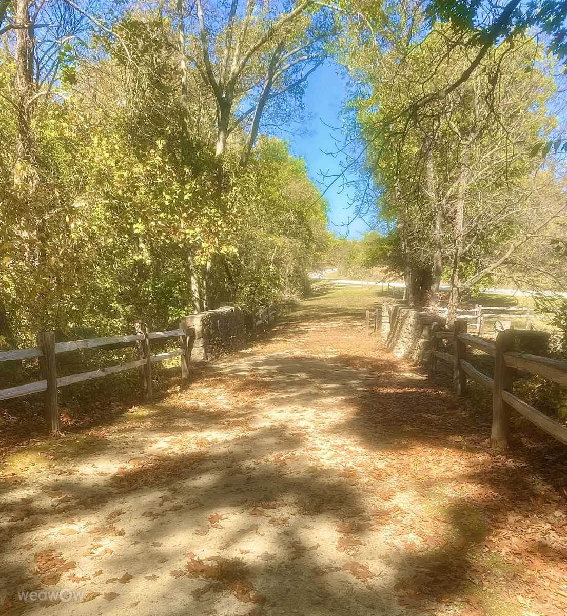 Photos météo à Kansas. Prévisions météo avec de superbes photos de Pittman1986