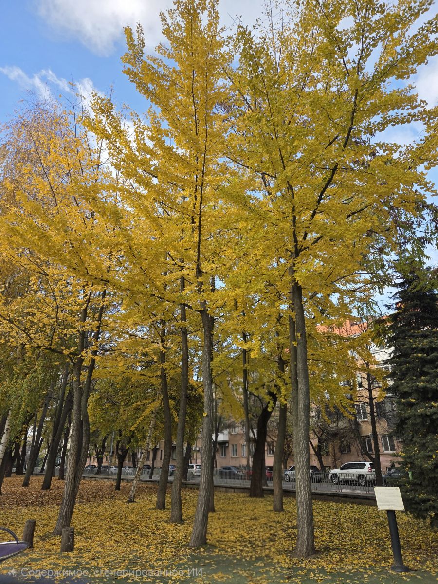 Weather Photos in Dnipropetrovsk. Weather forecasts with beautiful photos by Катя Пулинец