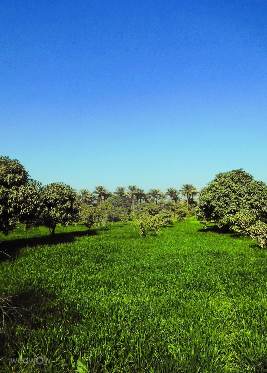 Weather Photos in Pakistan. Weather forecasts with beautiful photos by Yousuf