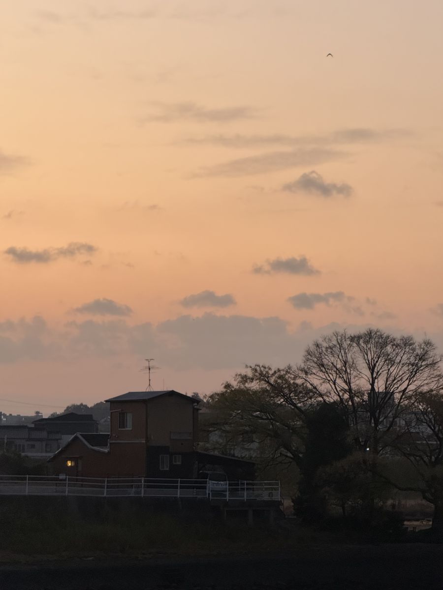 Photographer あさのジジ, Weather Photos in Okayama - Weawow