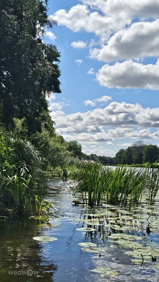スウェーデンの天気写真. Susanne Sussi Wetterholmの美しい写真による天気予報