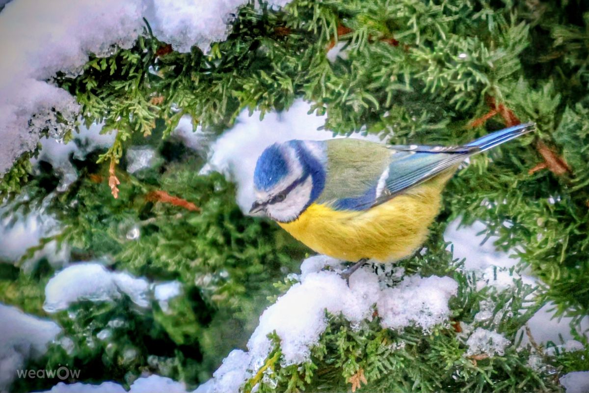 Photographer Lotti5507, Weather Photos in Stockum - Weawow