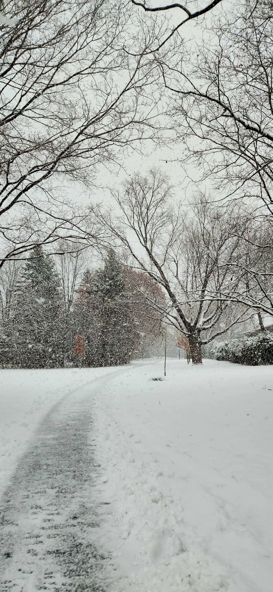 Wetter Photos Kanata Avenue. Wettervorhersagen mit schönen Fotos von KevinG