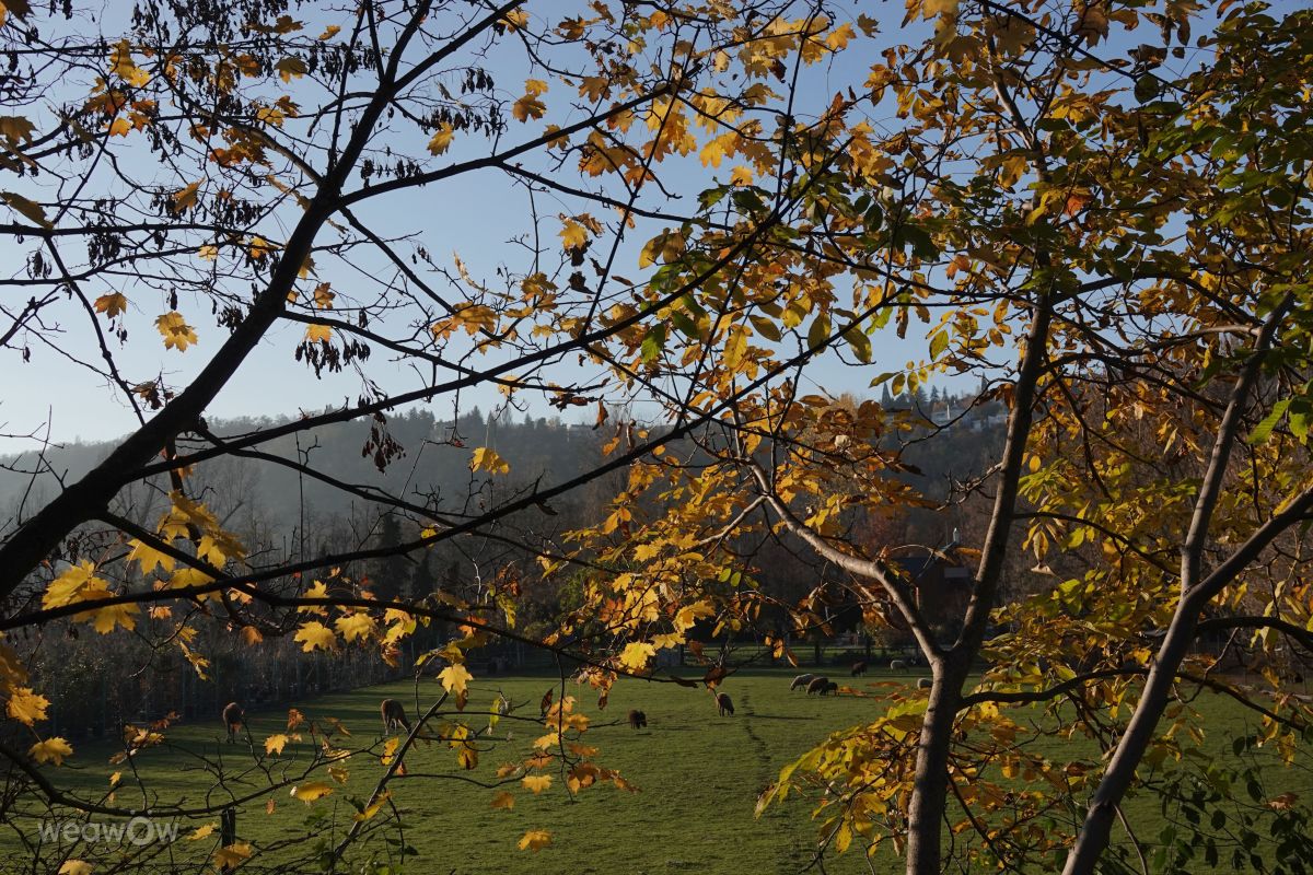 Braník的天气照片. 天气预报，带Vasek325精美的照片