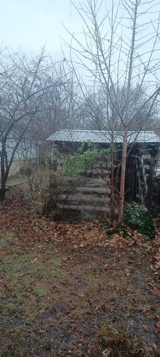 Fotos sobre el clima en Rivne. Pronósticos del tiempo con hermosas fotos de masterigors
