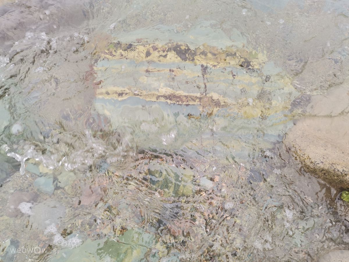 摄影师 NikolayPaunchev，Синеморец的天气照片 - Weawow