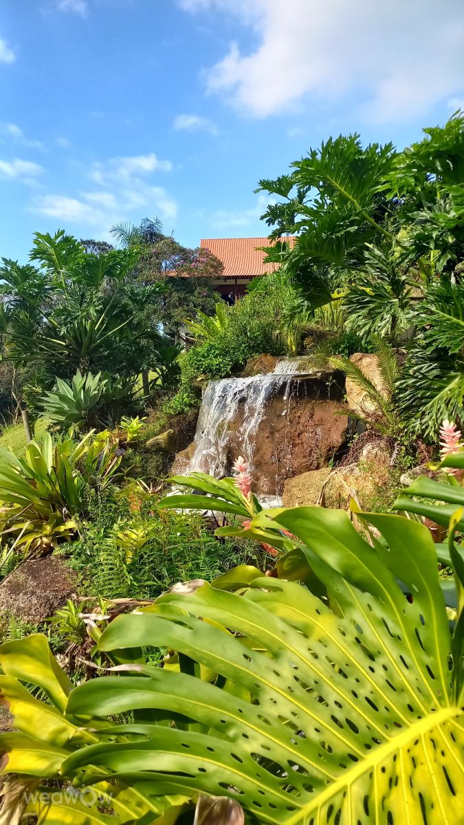 维亚芒的天气照片. 天气预报，带fernandaalves1精美的照片