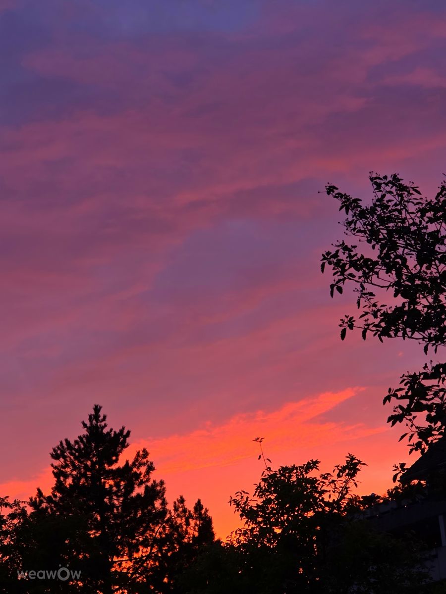 Weather forecasts with beautiful photos by Seni