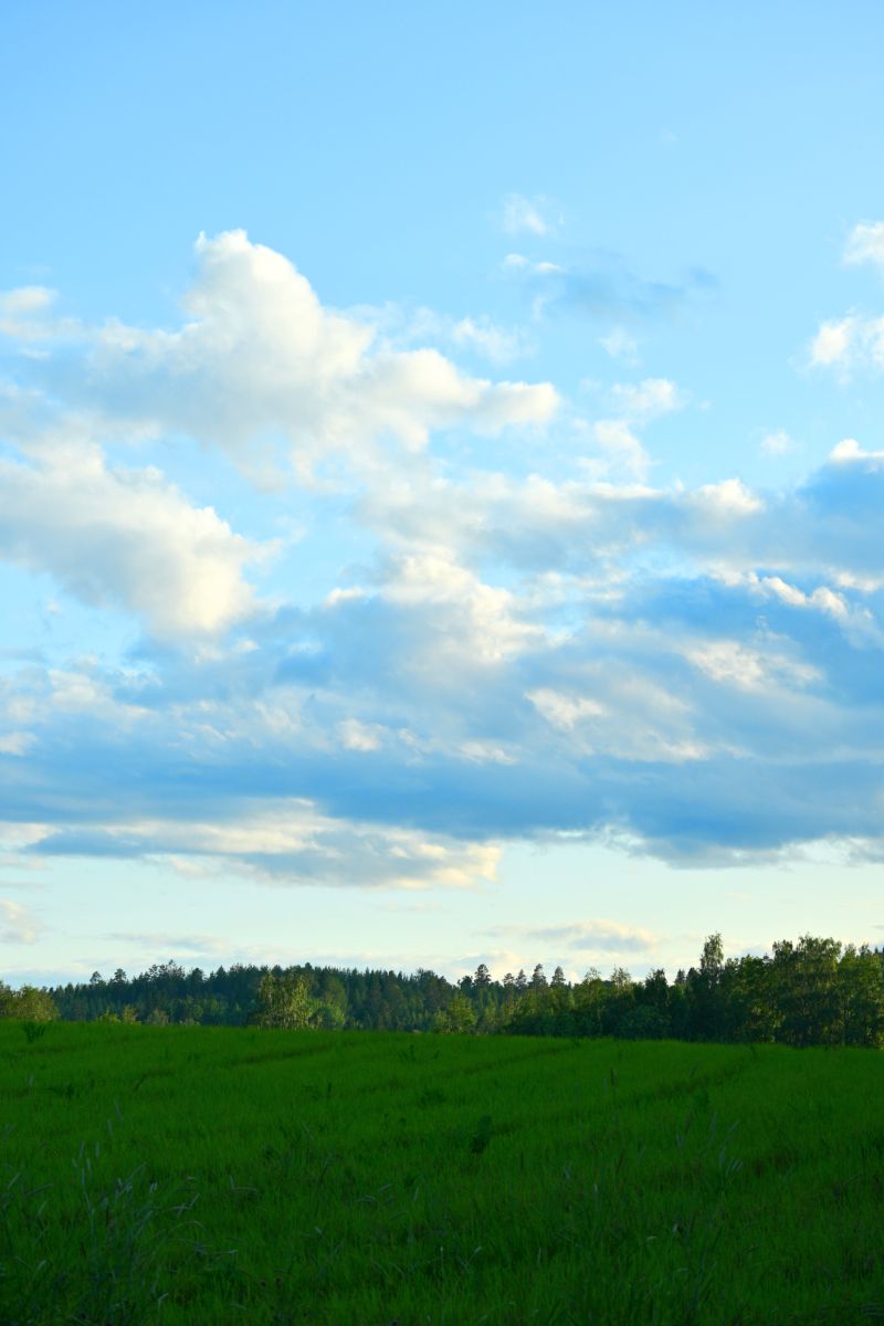 Фотографии Погоды в Тампере. Прогнозы погоды с чудесными фотографиями, сделанными Kokorhekkus