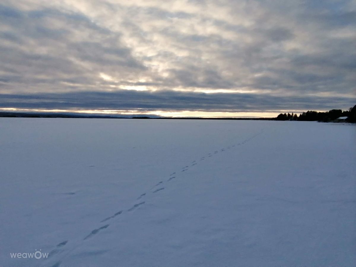 Prévisions météo avec de superbes photos de Juki