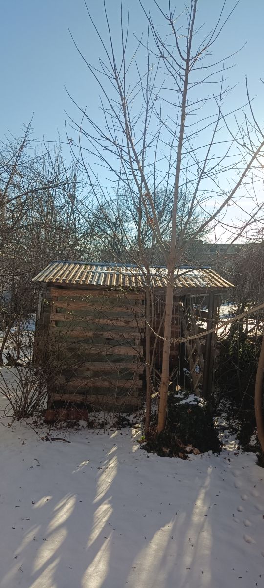 Fotos sobre el clima en Rivne. Pronósticos del tiempo con hermosas fotos de masterigors