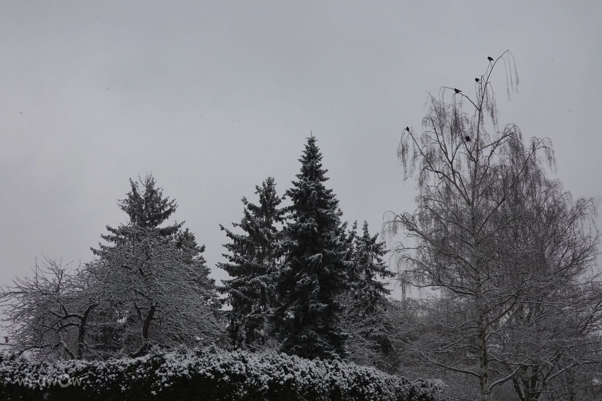 Fotos do tempo em Praha 4. Previsões do tempo com lindas fotos de Vasek325