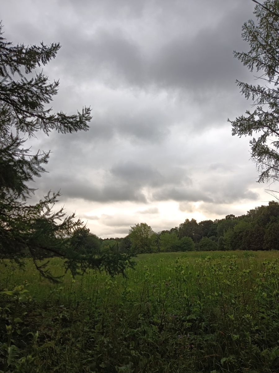 Photographer Amanda_and_Valdemar_Che, Weather Photos in Izmaylovo District - Weawow