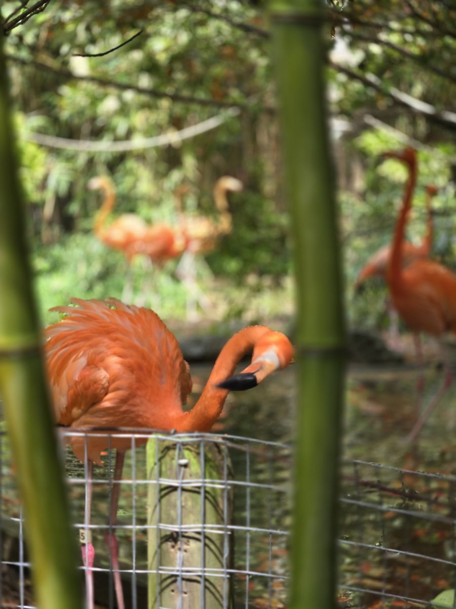 马里兰州的天气照片. 天气预报，带Daniracz精美的照片