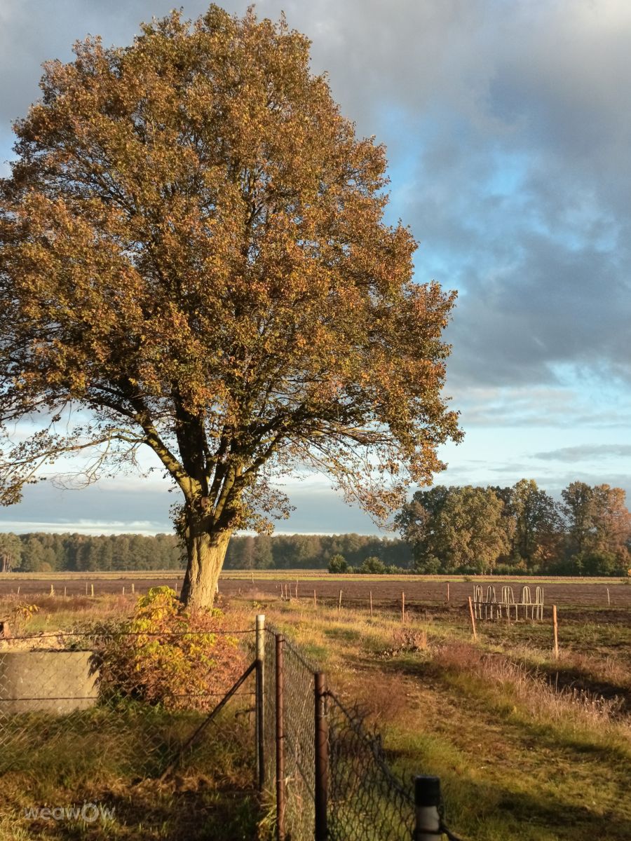 マゾフシェ県の天気写真. Abramczyk Jarosławの美しい写真による天気予報