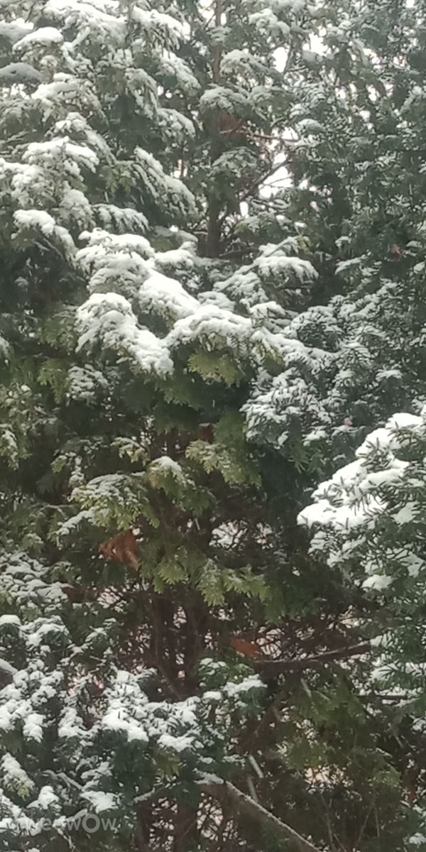 Fotos sobre el clima en Krasnodar. Pronósticos del tiempo con hermosas fotos de Vasily1512