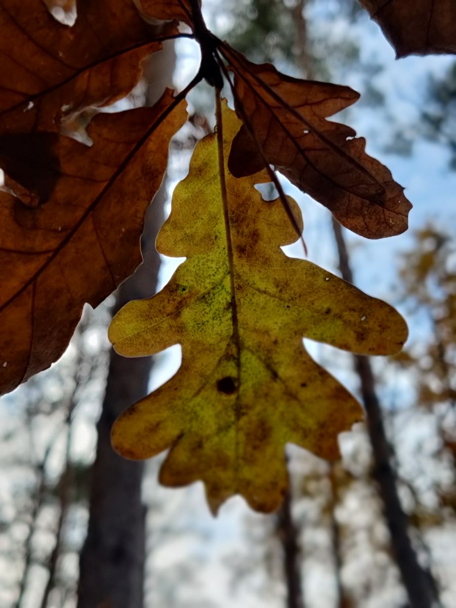 Kladow的天气照片. 天气预报，带Zorrra精美的照片