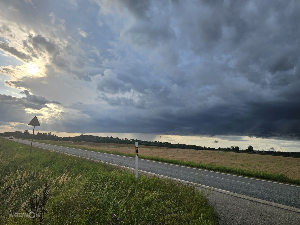 Pronósticos del tiempo con hermosas fotos de Sandra Bokisha