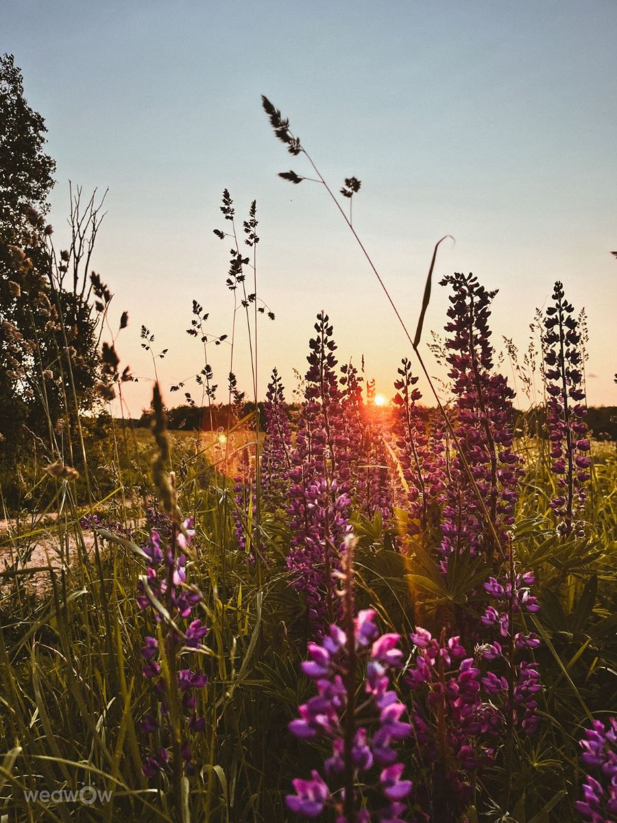 Photos météo à Tver. Prévisions météo avec de superbes photos de Ратибор