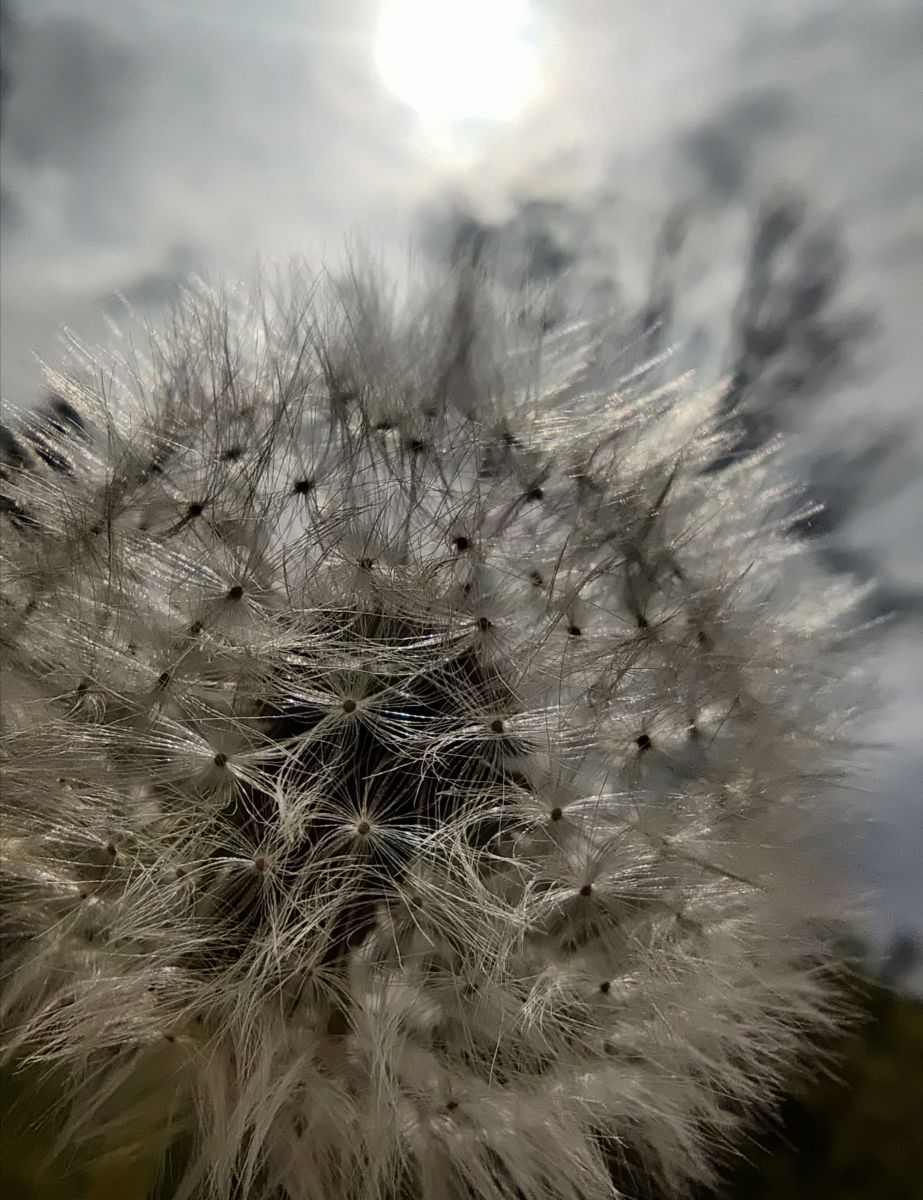 摄影师 Zorrra，Kladow的天气照片 - Weawow