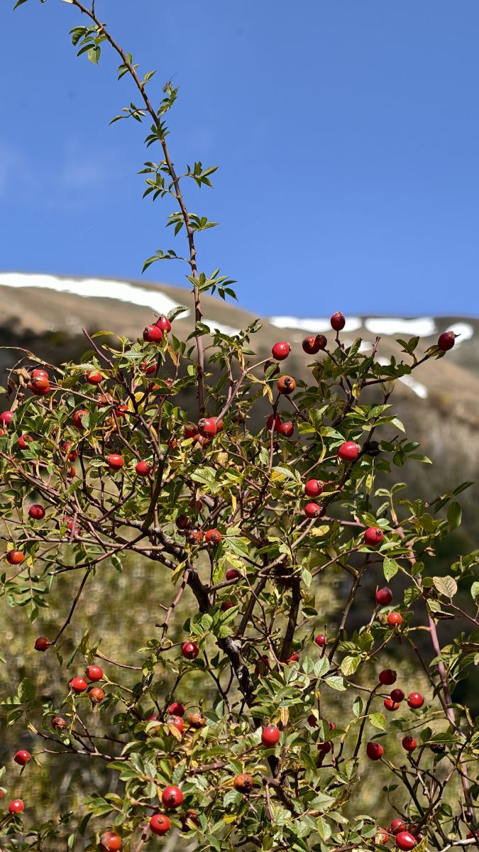 Weather Photos in Albania. Weather forecasts with beautiful photos by Sajmir Ahmati