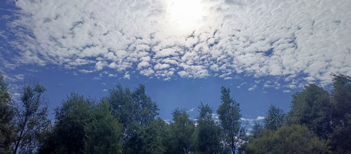 Hình ảnh Thời tiết ở Tomsk. Dự báo thời tiết với những bức ảnh đẹp của Лили123