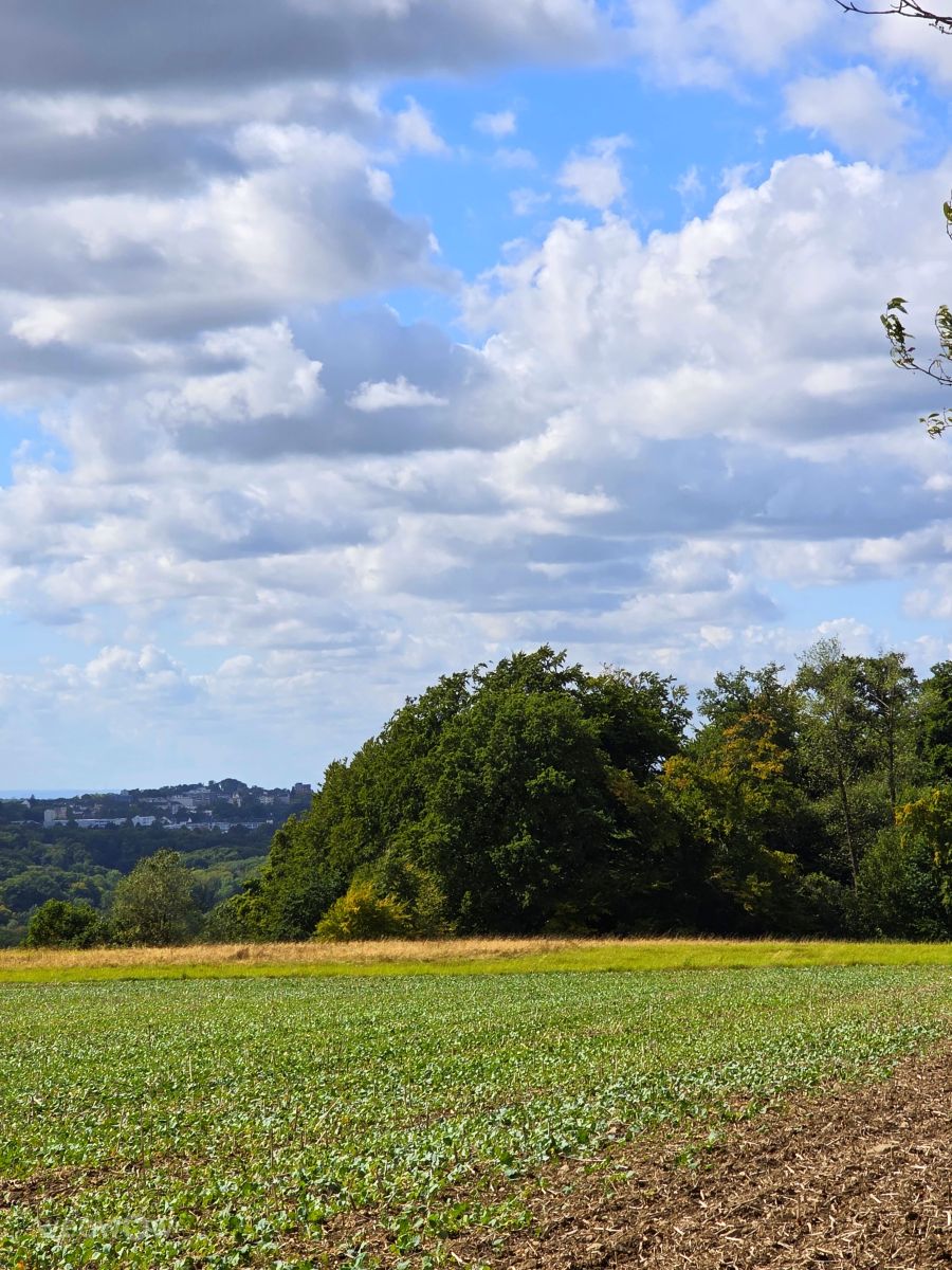 Velbertの天気写真. Seniの美しい写真による天気予報