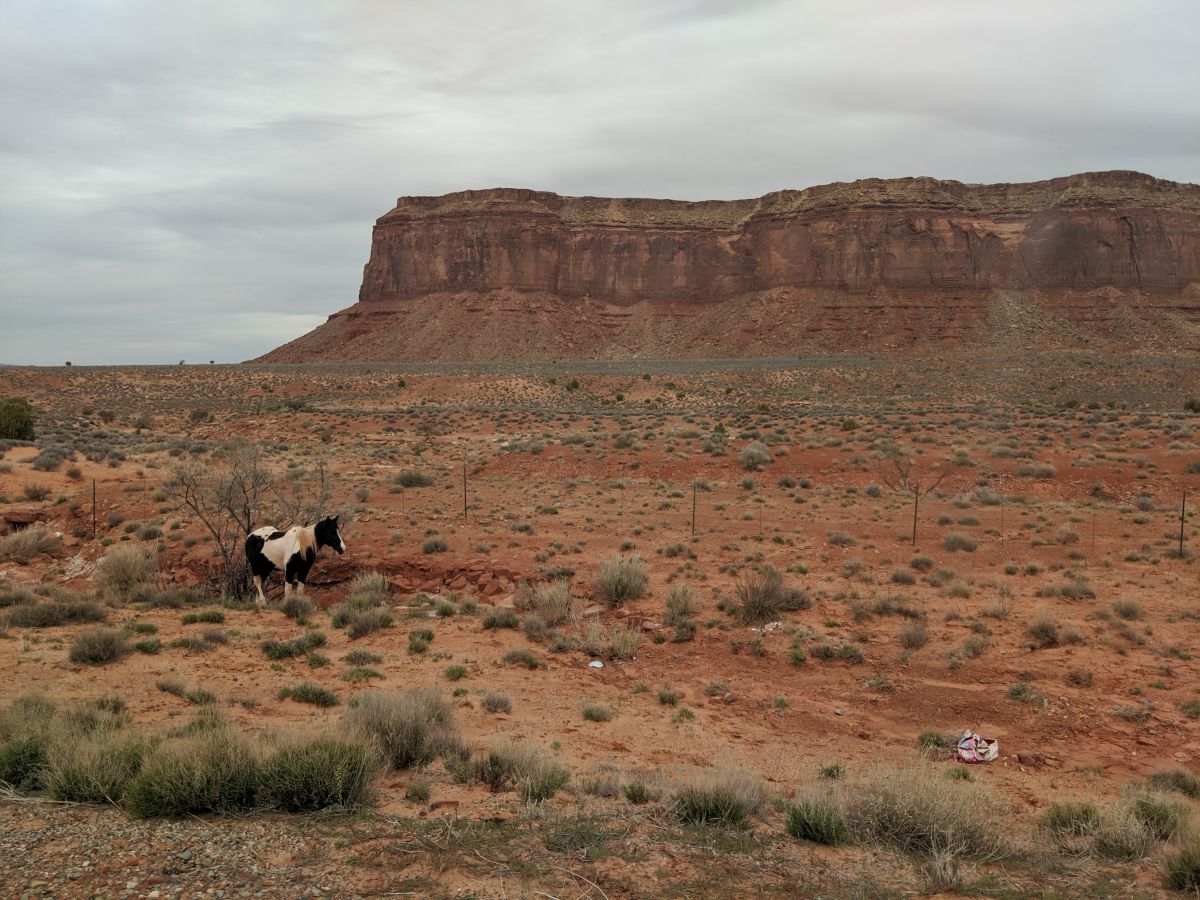 Fotos sobre el clima en Oljato-Monument Valley. Pronósticos del tiempo con hermosas fotos de JimmyZuma